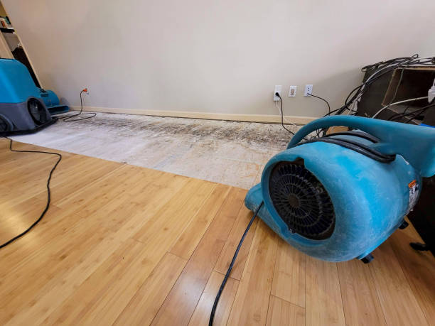 Professional Structural Drying technician working in Gloucester City, NJ